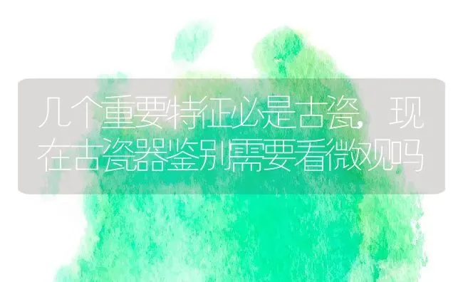 几个重要特征必是古瓷,现在古瓷器鉴别需要看微观吗 | 养殖学堂