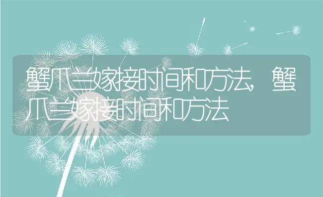 蟹爪兰嫁接时间和方法,蟹爪兰嫁接时间和方法 | 养殖学堂