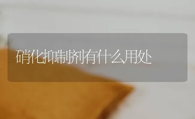 硝化抑制剂有什么用处 | 养殖知识