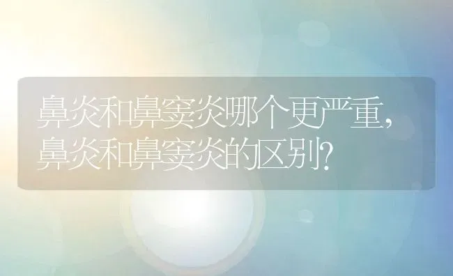 鼻炎和鼻窦炎哪个更严重,鼻炎和鼻窦炎的区别？ | 养殖学堂