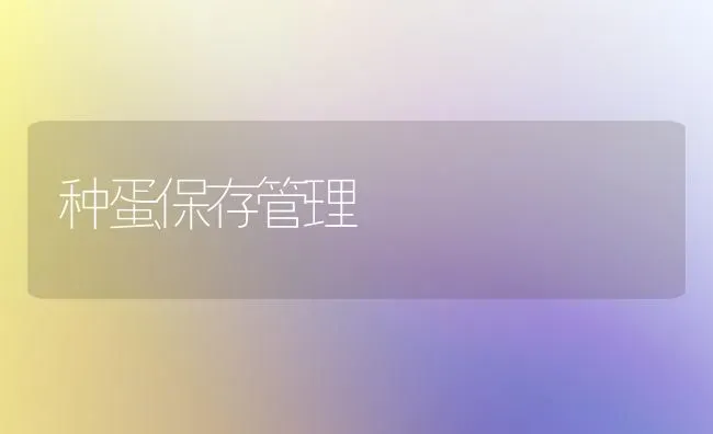 种蛋保存管理 | 养殖知识