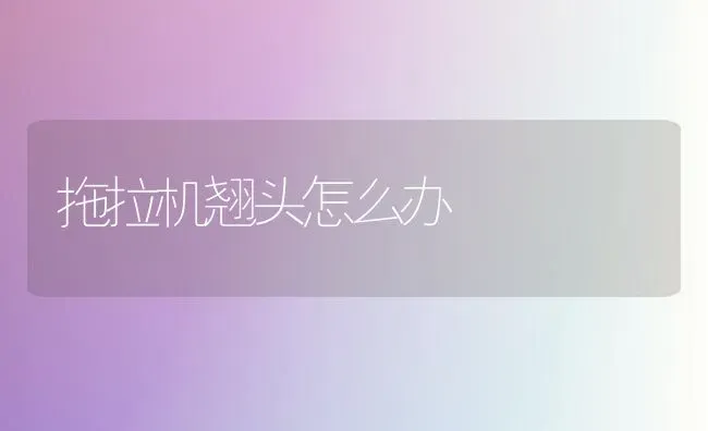 拖拉机翘头怎么办 | 养殖知识