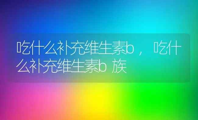 吃什么补充维生素b,吃什么补充维生素b族 | 养殖资料