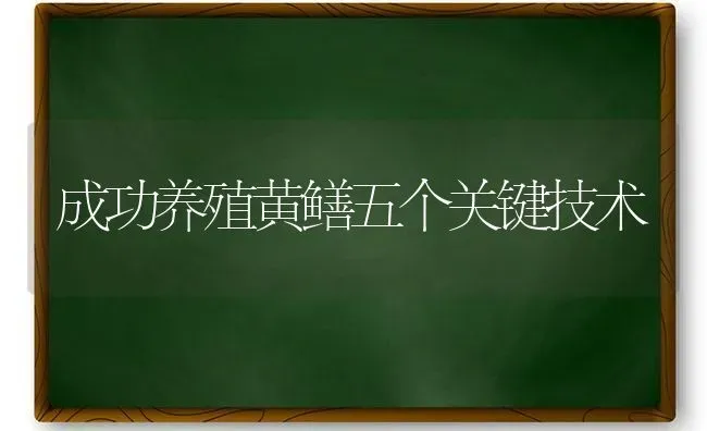 成功养殖黄鳝五个关键技术 | 养殖技术大全