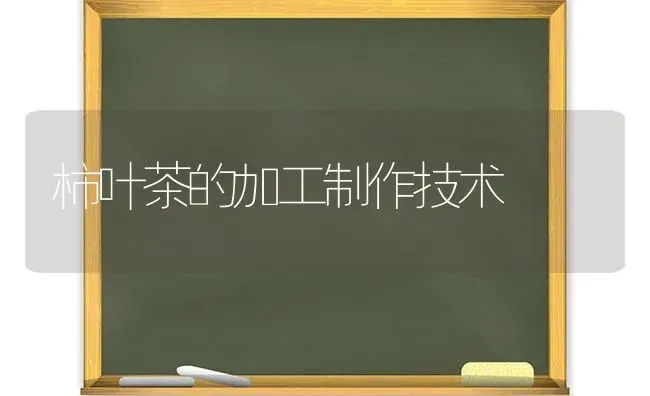 柿叶茶的加工制作技术 | 养殖技术大全