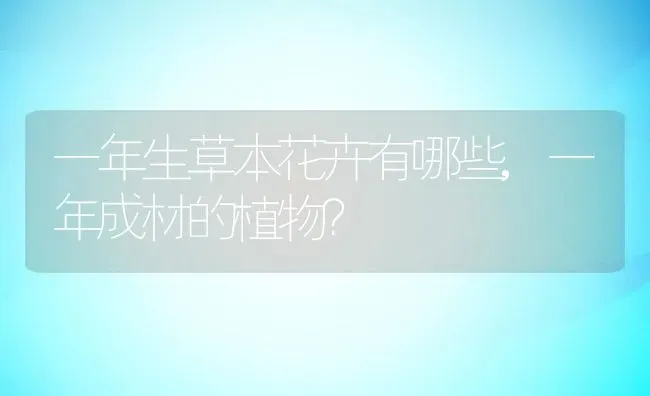 一年生草本花卉有哪些,一年成材的植物？ | 养殖学堂