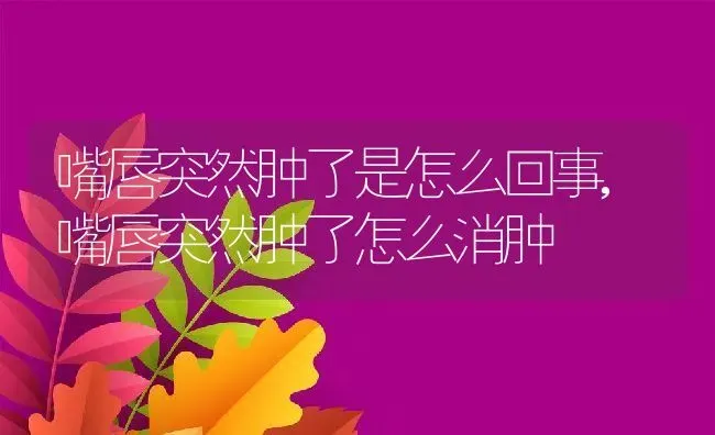 嘴唇突然肿了是怎么回事,嘴唇突然肿了怎么消肿 | 养殖资料