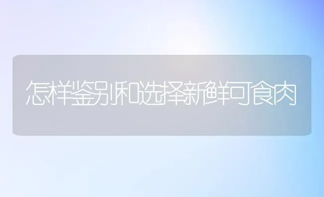 怎样鉴别和选择新鲜可食肉 | 养殖知识