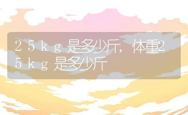 25kg是多少斤,体重25kg是多少斤 | 养殖科普