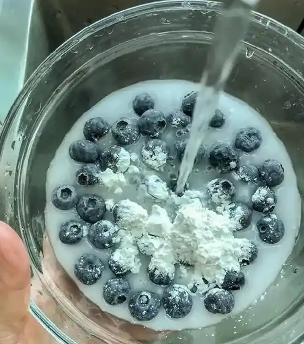 蓝莓怎么洗才干净正确的清洗方法,蓝莓怎么洗才干净正确的蓝莓清洗方法？