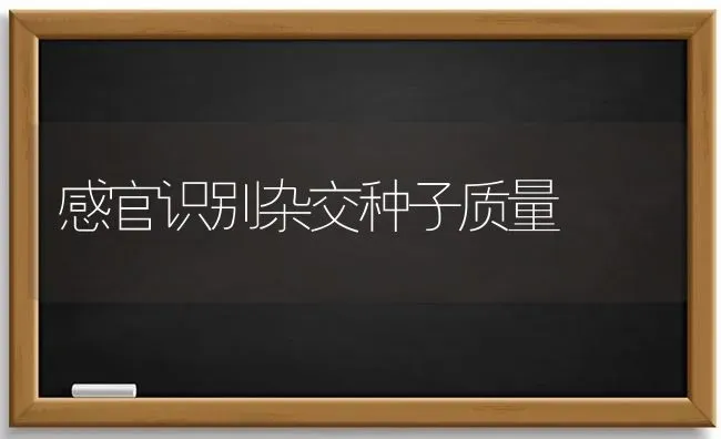 感官识别杂交种子质量 | 养殖知识