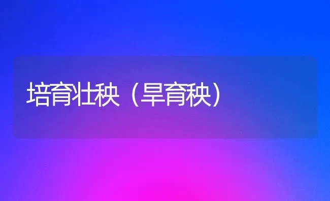 培育壮秧(旱育秧) | 养殖技术大全