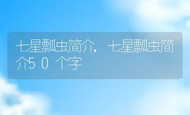 七星瓢虫简介,七星瓢虫简介50个字 | 养殖资料