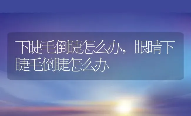 下睫毛倒睫怎么办,眼睛下睫毛倒睫怎么办 | 养殖资料