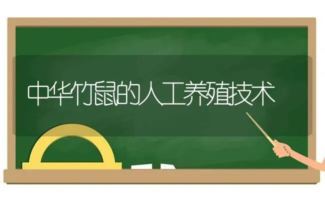 中华竹鼠的人工养殖技术 | 养殖技术大全