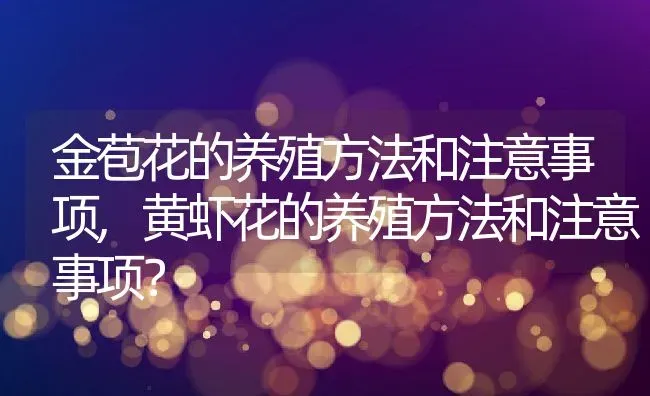 金苞花的养殖方法和注意事项,黄虾花的养殖方法和注意事项？ | 养殖科普