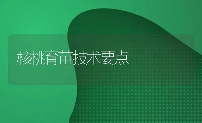 核桃育苗技术要点 | 养殖技术大全