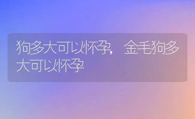 狗多大可以怀孕,金毛狗多大可以怀孕 | 养殖科普