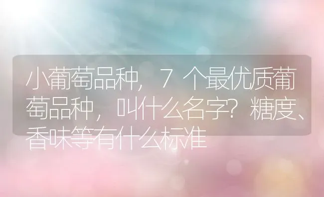 小葡萄品种,7个最优质葡萄品种，叫什么名字?糖度、香味等有什么标准 | 养殖学堂