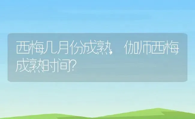 西梅几月份成熟,伽师西梅成熟时间？ | 养殖科普