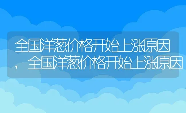 全国洋葱价格开始上涨原因,全国洋葱价格开始上涨原因 | 养殖科普