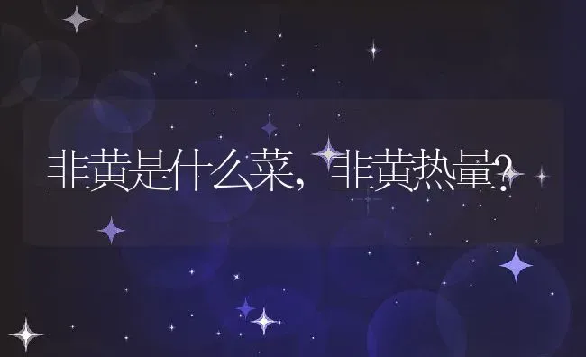 韭黄是什么菜,韭黄热量？ | 养殖科普