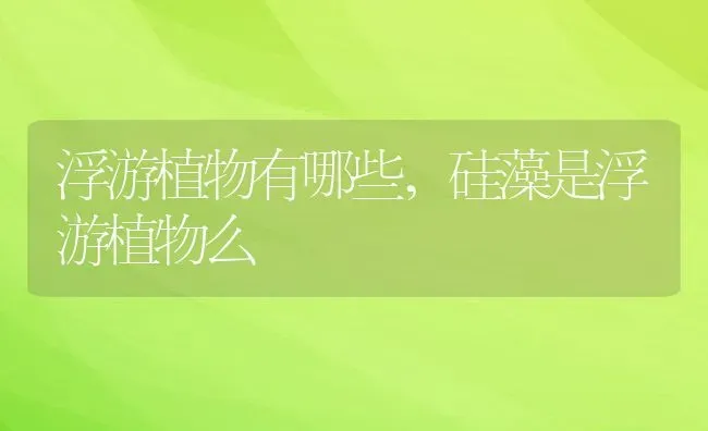 浮游植物有哪些,硅藻是浮游植物么 | 养殖学堂