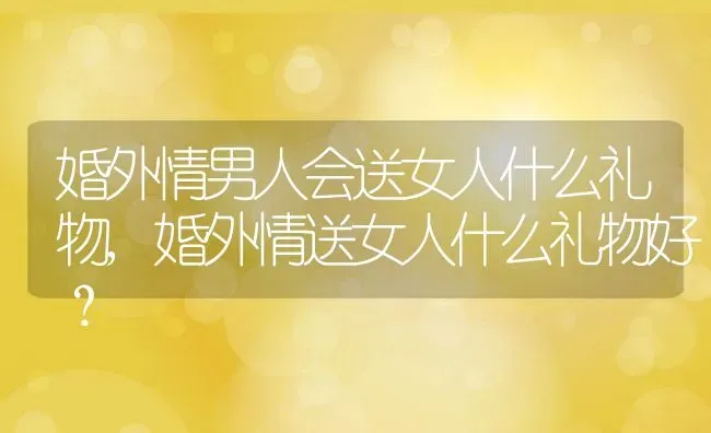 婚外情男人会送女人什么礼物,婚外情送女人什么礼物好？ | 养殖学堂