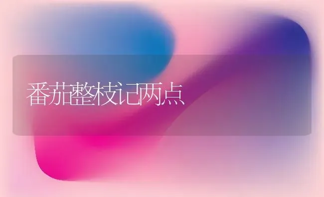 番茄整枝记两点 | 养殖知识