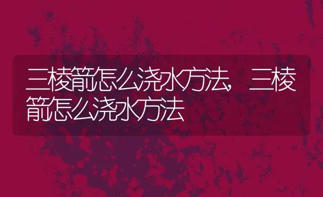 三棱箭怎么浇水方法,三棱箭怎么浇水方法 | 养殖学堂