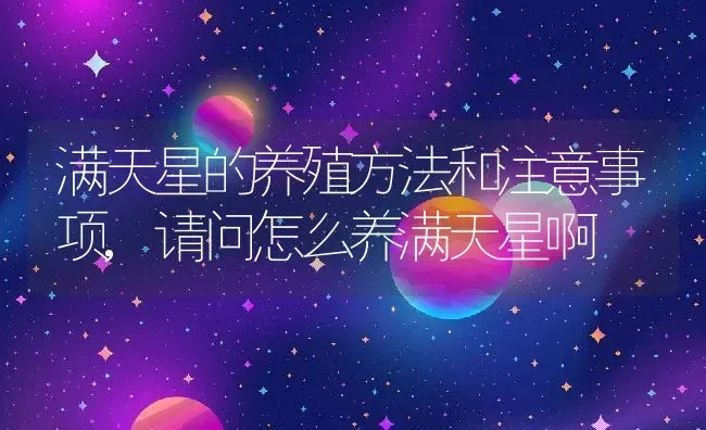 满天星的养殖方法和注意事项,请问怎么养满天星啊 | 养殖学堂