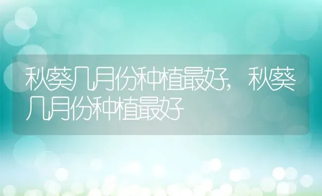 秋葵几月份种植最好,秋葵几月份种植最好 | 养殖科普