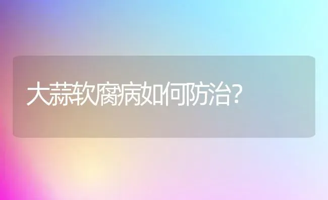 大蒜软腐病如何防治? | 养殖知识