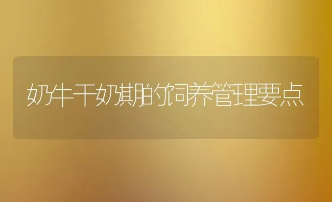 奶牛干奶期的饲养管理要点 | 养殖知识