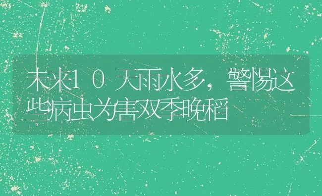 未来10天雨水多,警惕这些病虫为害双季晚稻 | 养殖技术大全