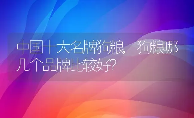 中国十大名牌狗粮,狗粮哪几个品牌比较好？ | 养殖学堂