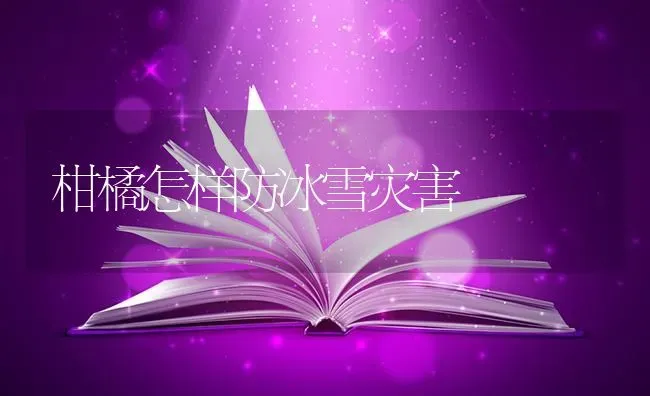 柑橘怎样防冰雪灾害 | 养殖知识