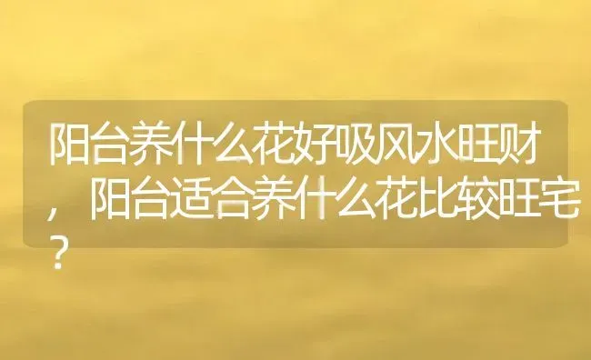 阳台养什么花好吸风水旺财,阳台适合养什么花比较旺宅？ | 养殖学堂