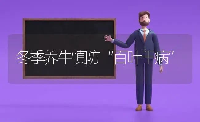 冬季养牛慎防“百叶干病” | 养殖知识