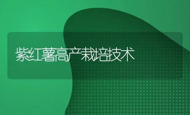 紫红薯高产栽培技术 | 养殖技术大全