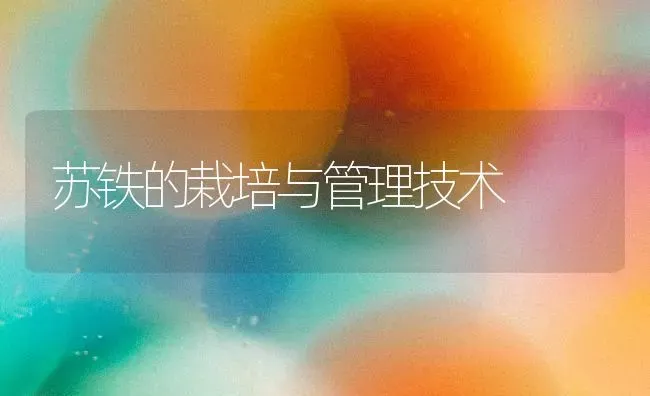 苏铁的栽培与管理技术 | 养殖技术大全