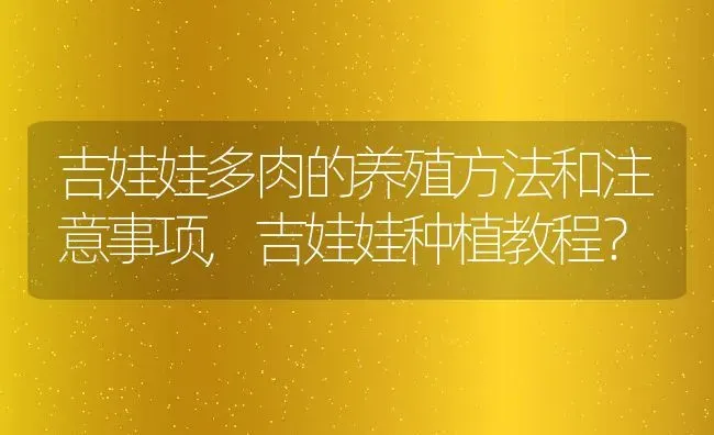 吉娃娃多肉的养殖方法和注意事项,吉娃娃种植教程？ | 养殖学堂