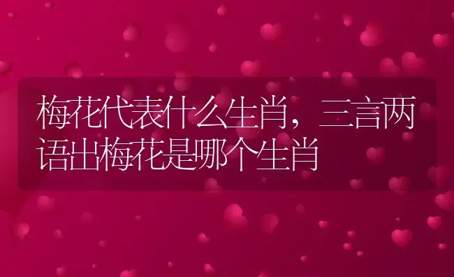 梅花代表什么生肖,三言两语出梅花是哪个生肖 | 养殖学堂