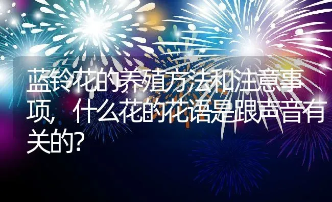 蓝铃花的养殖方法和注意事项,什么花的花语是跟声音有关的？ | 养殖科普