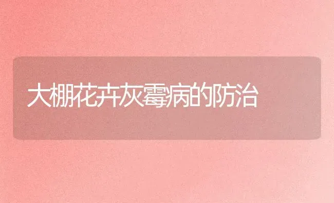 大棚花卉灰霉病的防治 | 养殖知识