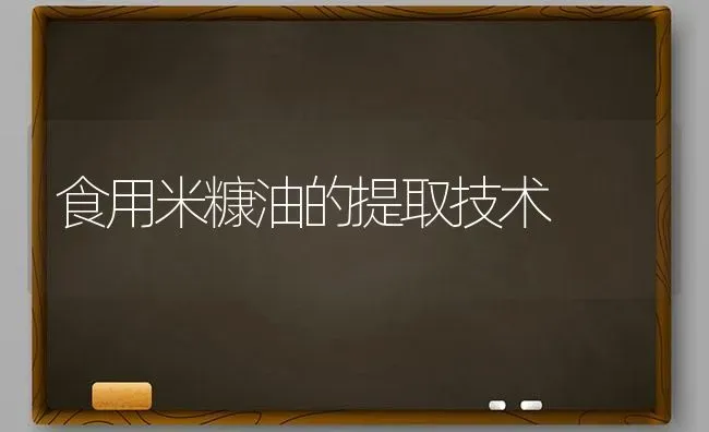 食用米糠油的提取技术 | 养殖技术大全