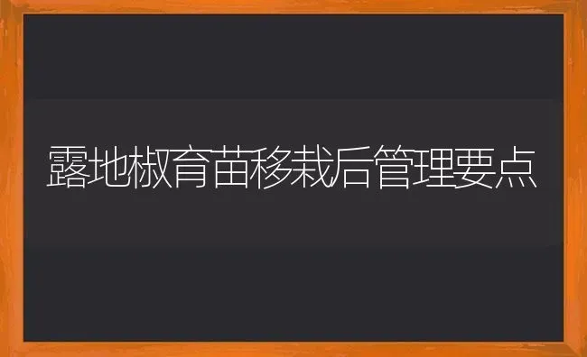 露地椒育苗移栽后管理要点 | 养殖技术大全