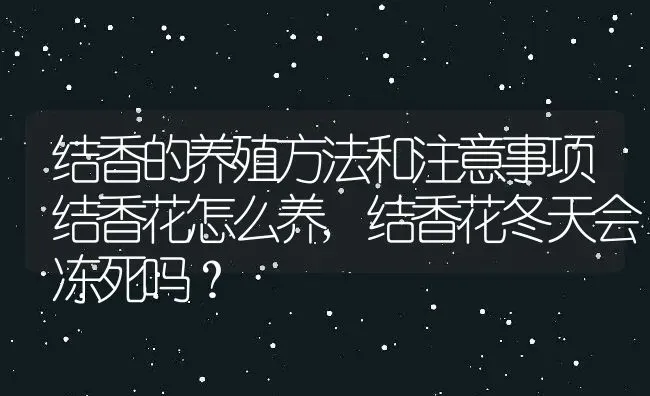 结香的养殖方法和注意事项结香花怎么养,结香花冬天会冻死吗？ | 养殖科普