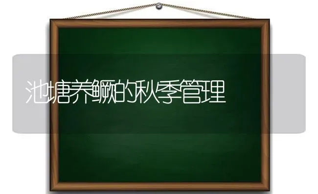 池塘养鳜的秋季管理 | 养殖技术大全