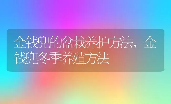 兔子多大可以繁殖,兔子几个月生小兔 | 养殖学堂